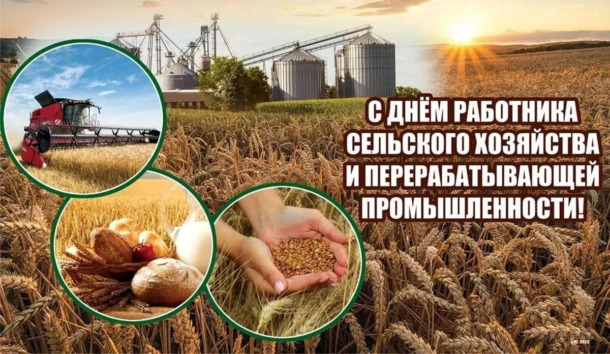 13 октября - День работника сельского хозяйства и перерабатывающей промышленности 🌾🇷🇺