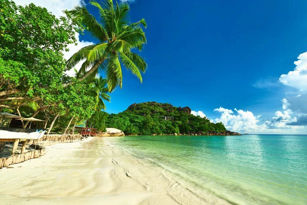 🌴Сейшельские острова — это рай, который ближе, чем кажется.
