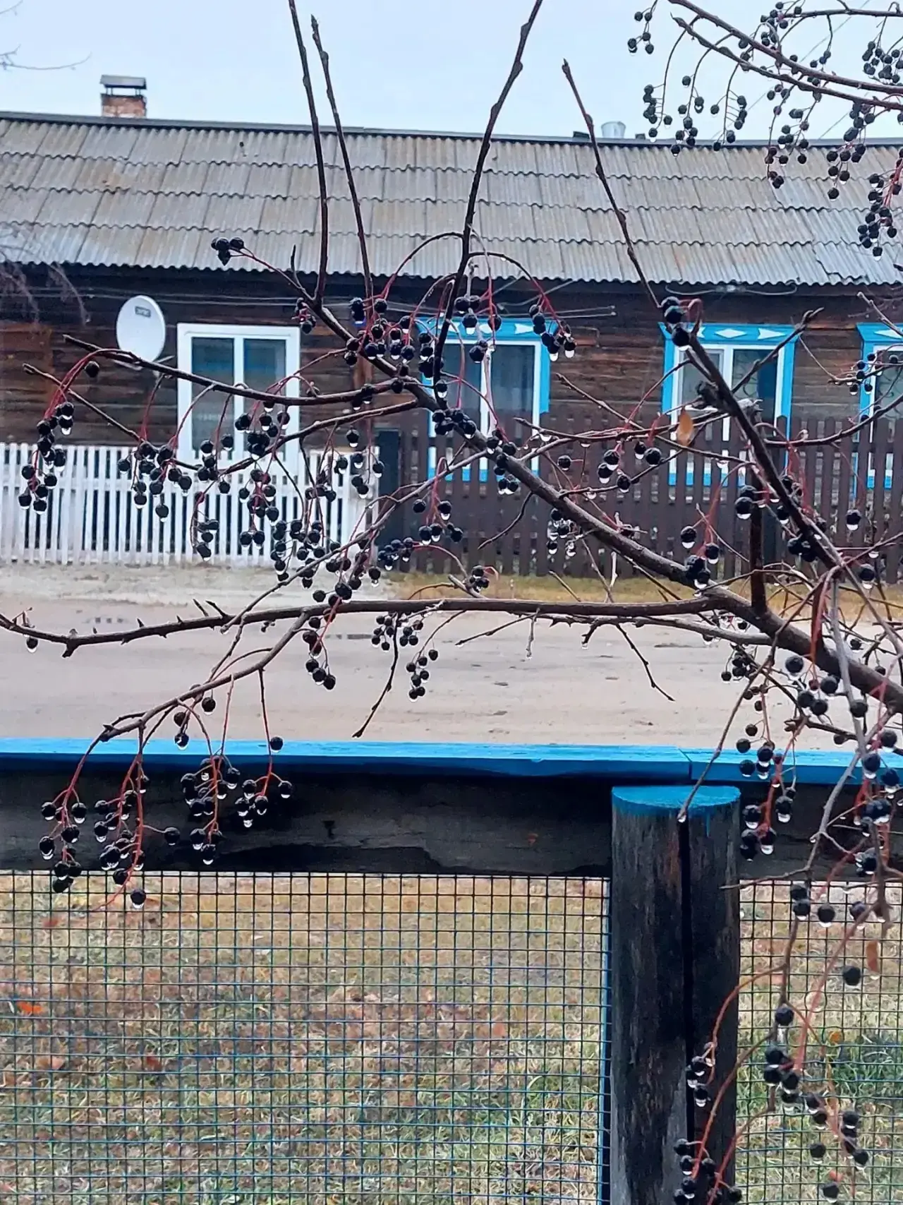 💬 «Октябрьское утро»
