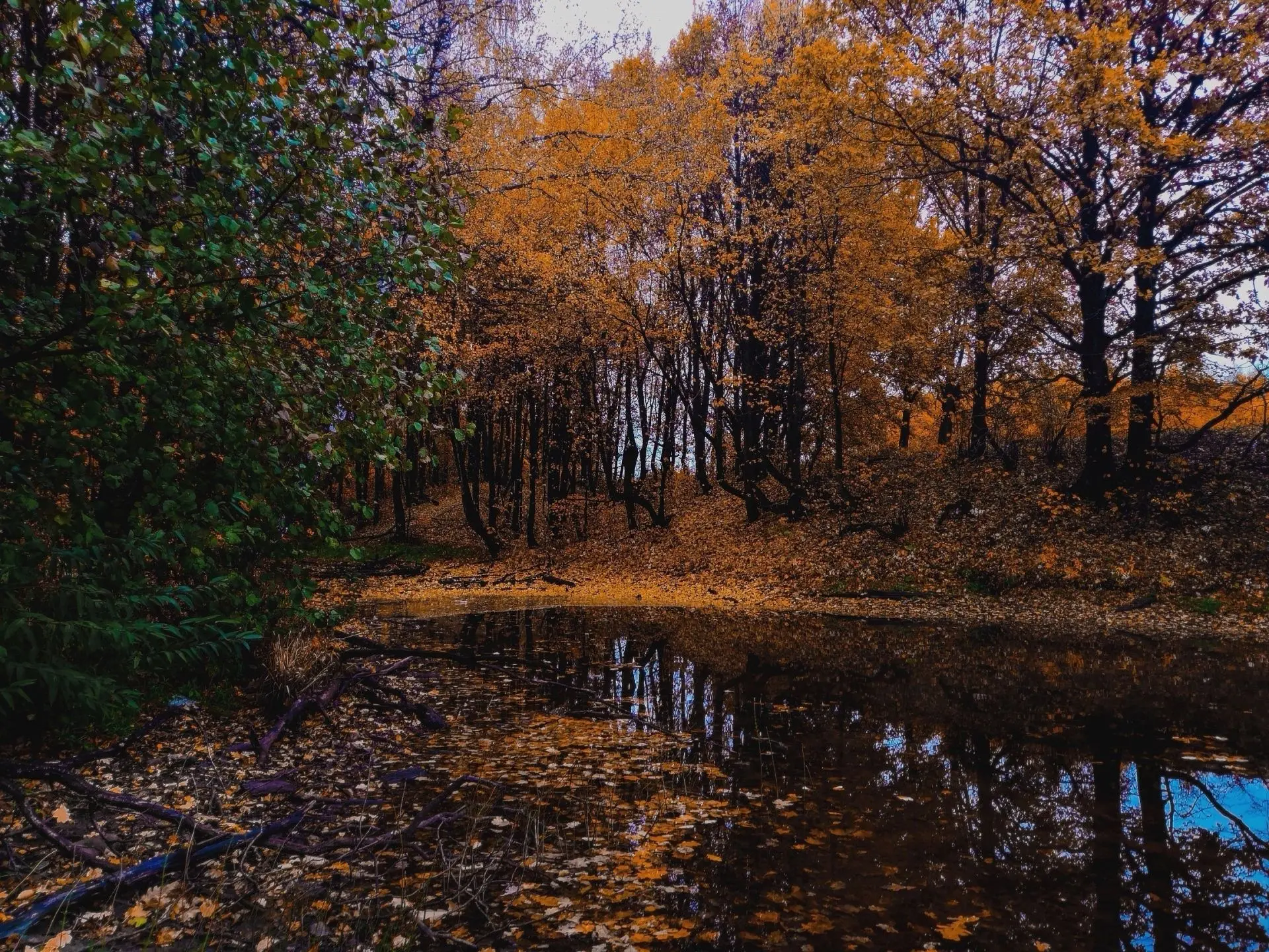 ✌ Доброе Утро, Ясногорск