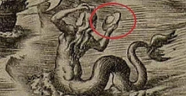 🧠 РУСАЛКА, ДЕРЖАЩАЯ В РУКЕ ЛЕТАЮЩУЮ ТАРЕЛКУ, ИЗОБРАЖЕНА НА КАРТЕ АМЕРИКИ 1562 ГОДА