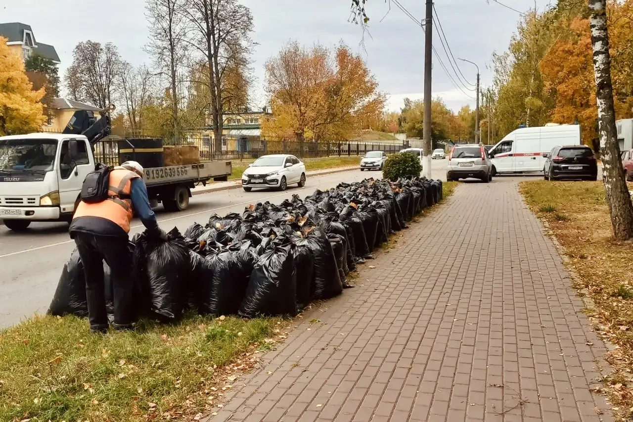 🍂 Осенний порядок в парках и скверах Орла: почему важно убирать листву?