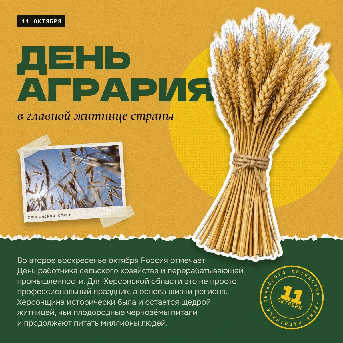 🌾 Херсонская земля кормит миллионы. Но за каждым урожаем стоят люди, о которых редко г...