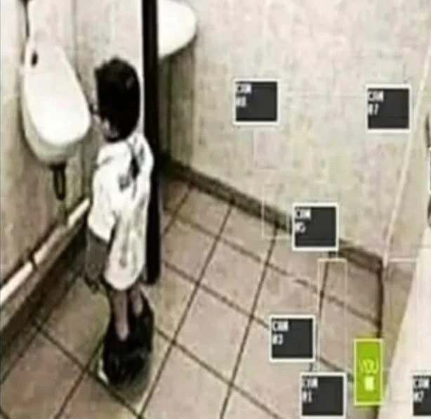 Зачем в туалете камеры...?