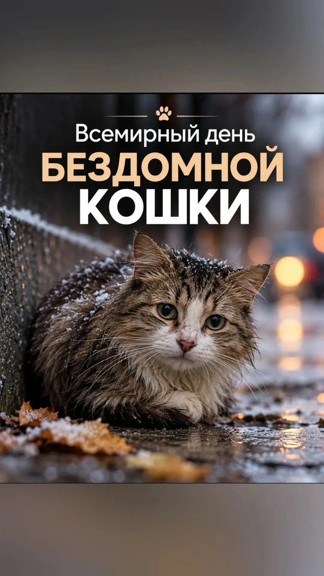 Сегодня прям все праздники требующие доброго дела ✍️  и нам добрые весточки очень нужны...