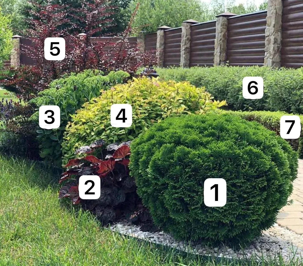 Стильная композиция из растений на приусадебном участке🌳