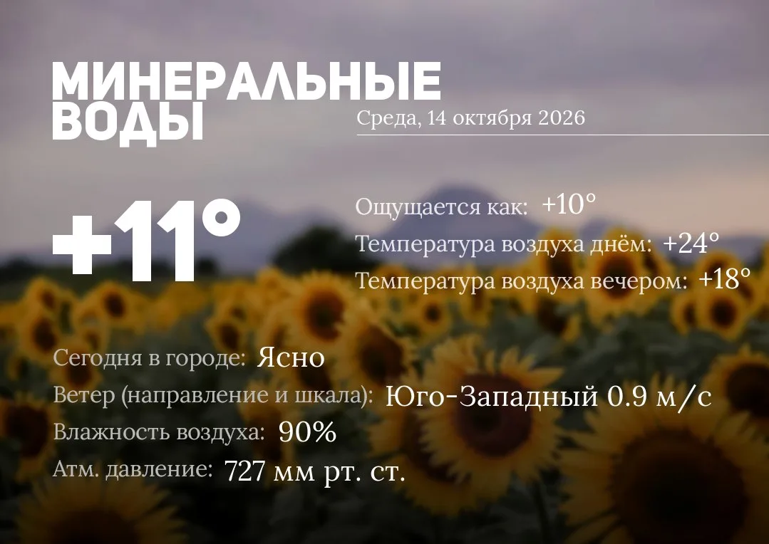 ☀️ Доброе утро, Минеральные Воды!