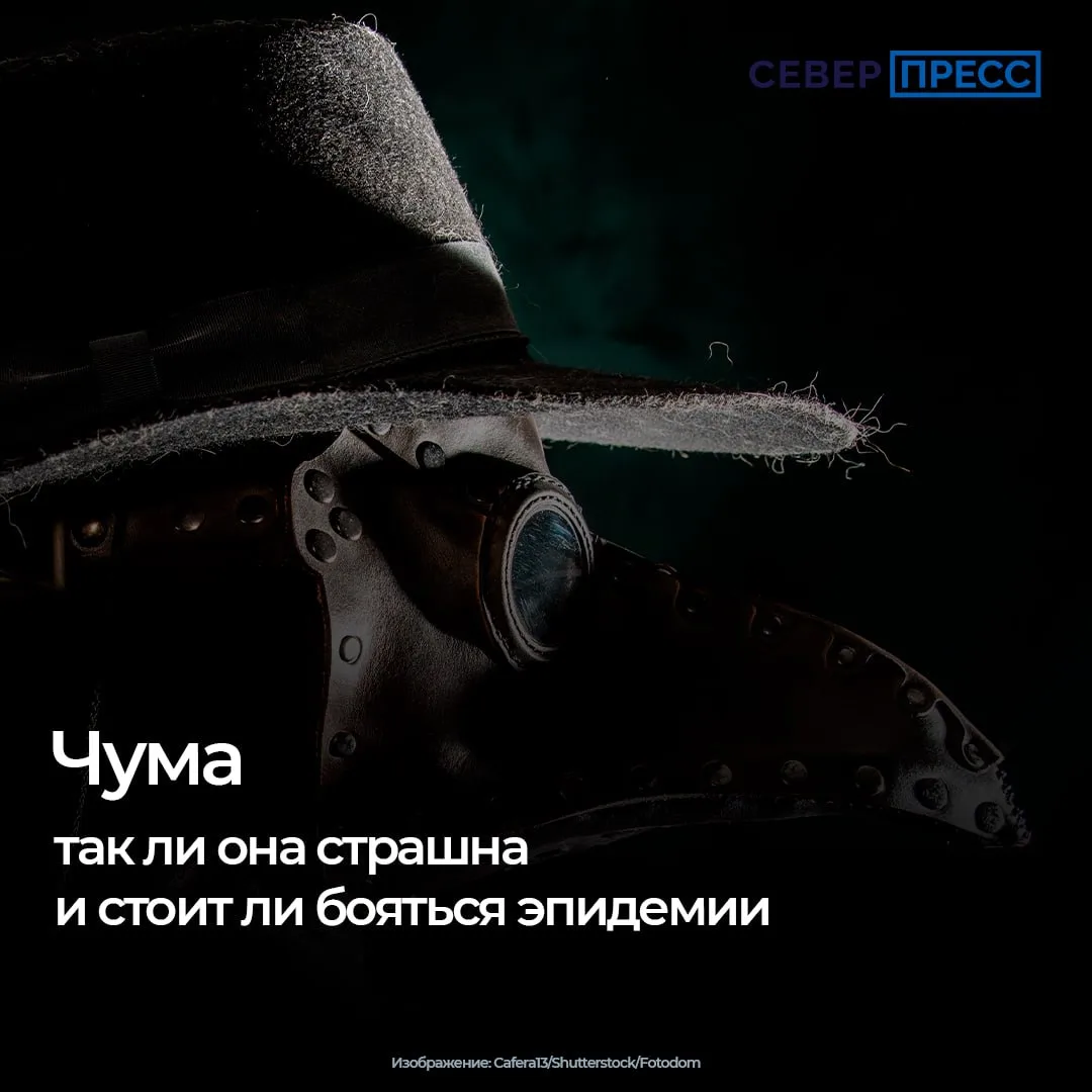 В Иркутской области в начале октября умерла сотрудница противочумного института. У нее ...