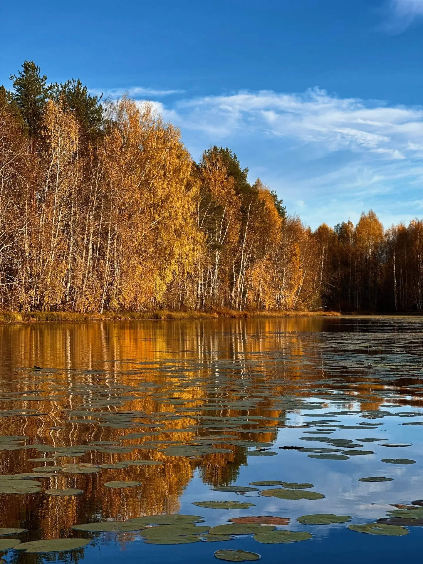 Краски осени в Сыктывдинском районе 🍁 А вы бывали в этом месте?