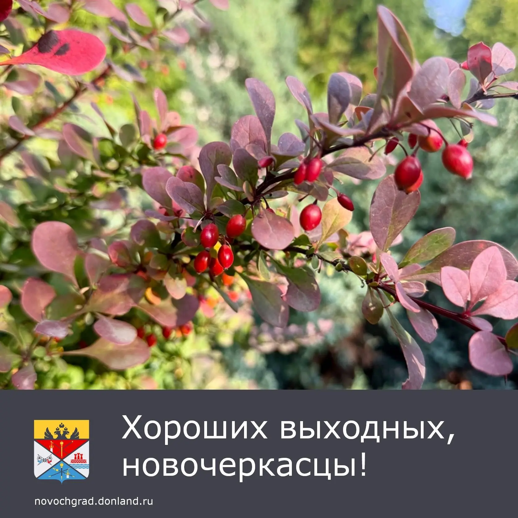 🌥Суббота, 10 октября облачно, с прояснениями, без осадков. Днём температура воздуха пр...