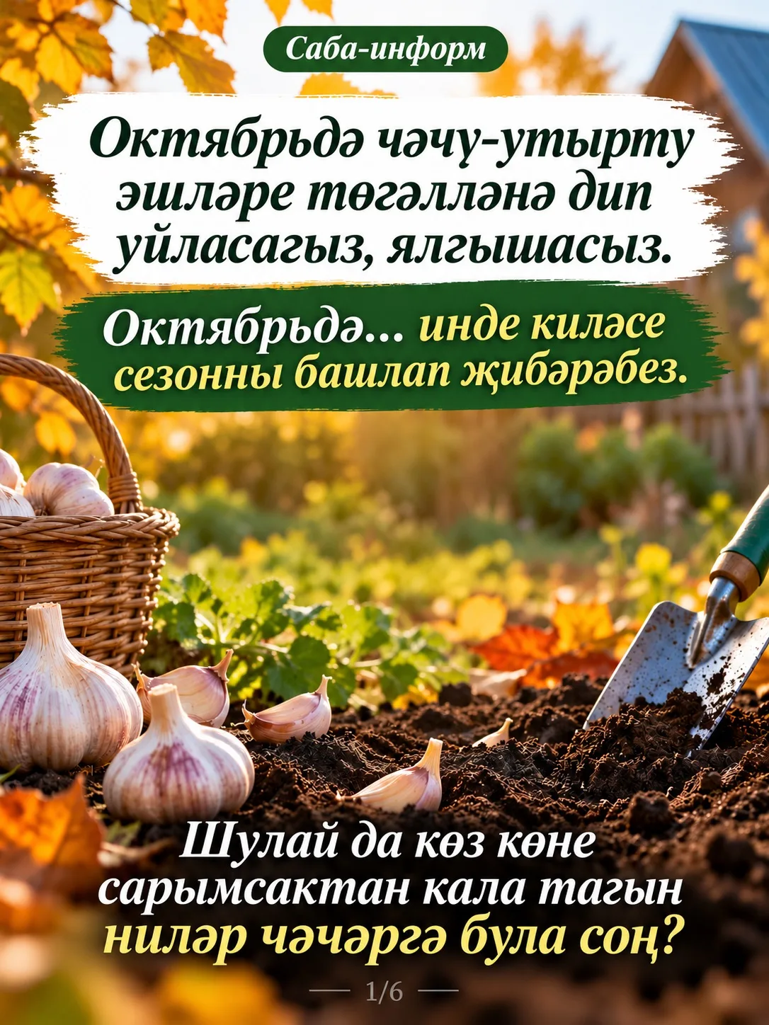 🌱Октябрьдә чәчү-утырту эшләре төгәлләнә дип уйласагыз, ялгышасыз.