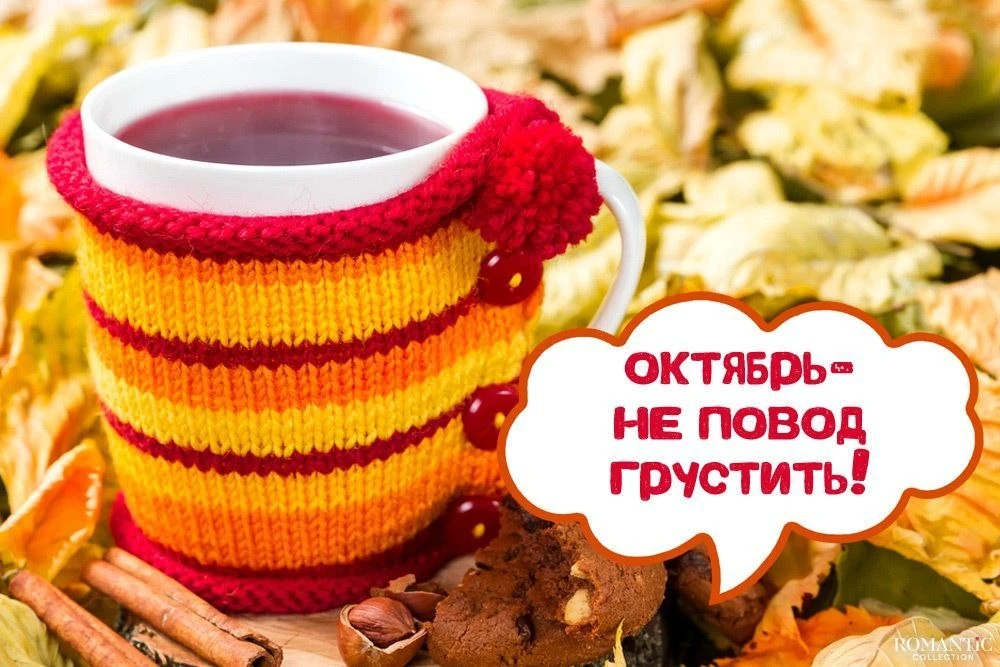 Осень — время пессимистов и меланхоликов, время тех, кто любит грустить и мечтать!