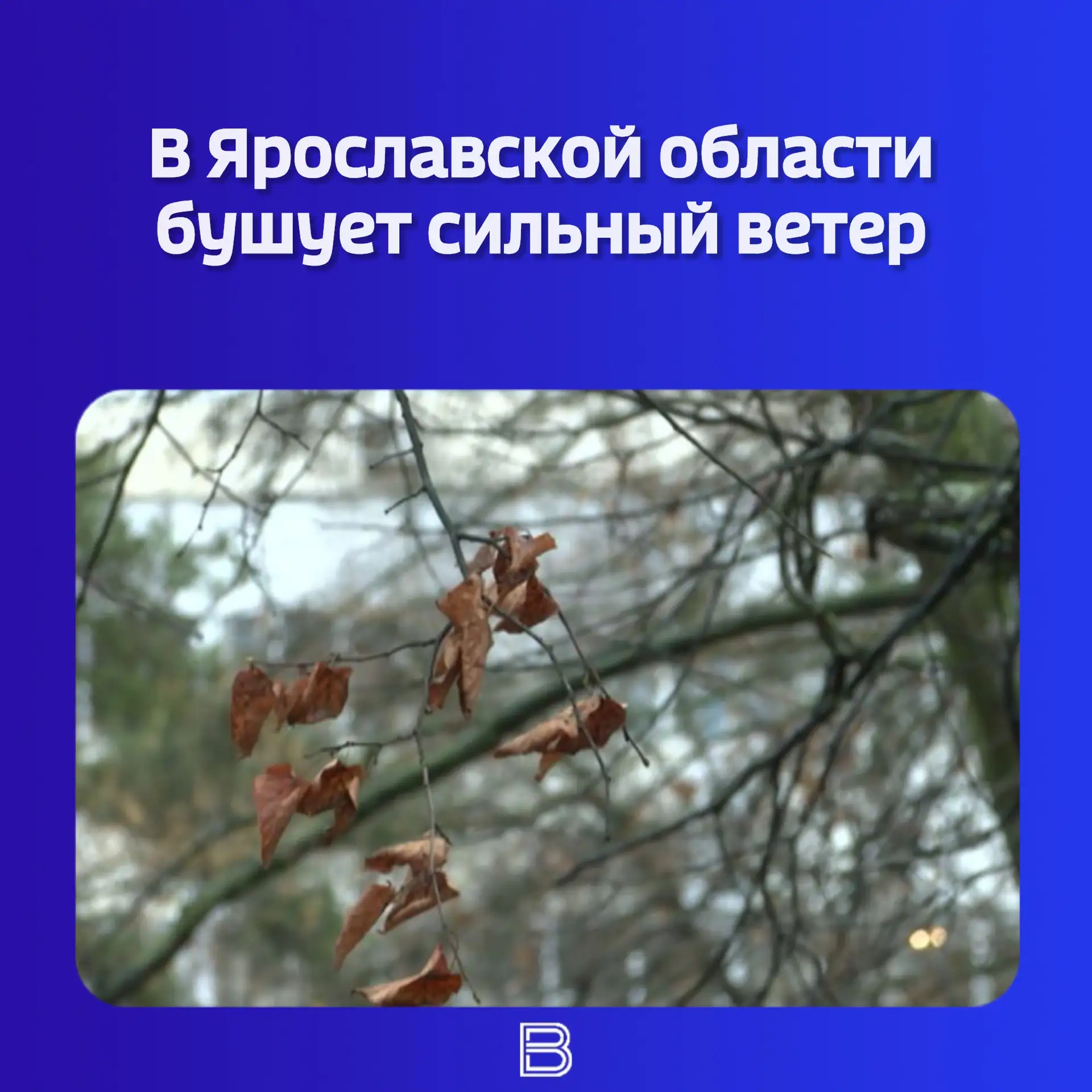 ⚠️ В городе и местами по региону сохраняется непогода. Порывы юго-западного ветра дости...
