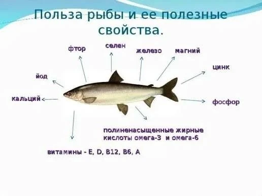 🎉 «Польза рыбы для здоровья детей»: познавательные классные часы в МКОУ «Рыканская СОШ...