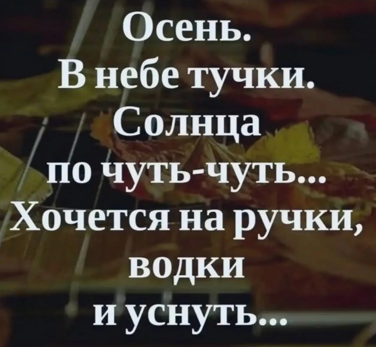 Секреты гармонии — Подписывайся