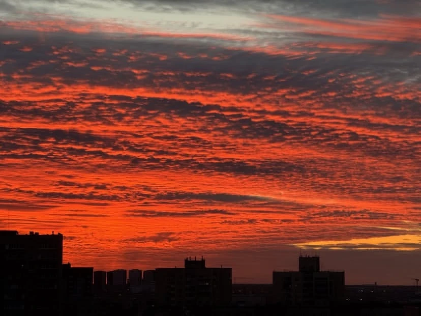 Огненный закат сегодня в Тюмени 🤩 даже котик любуется, глядя в окно.