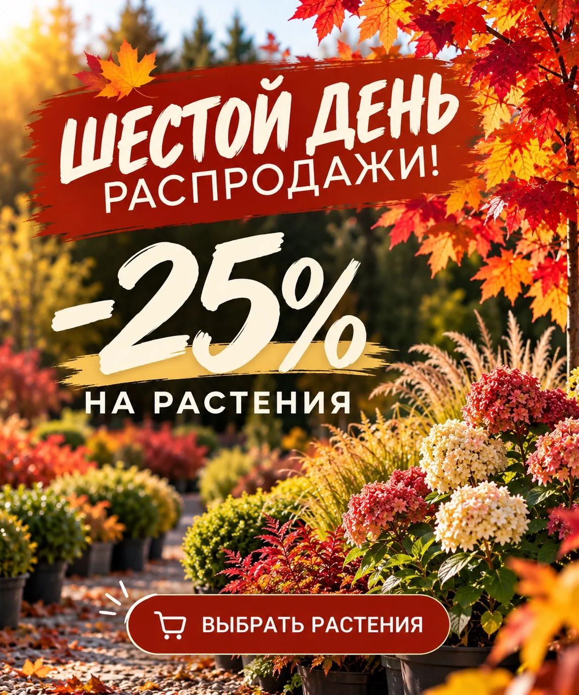 🍁 ШЕСТОЙ ДЕНЬ РАСПРОДАЖИ GARDENS!
