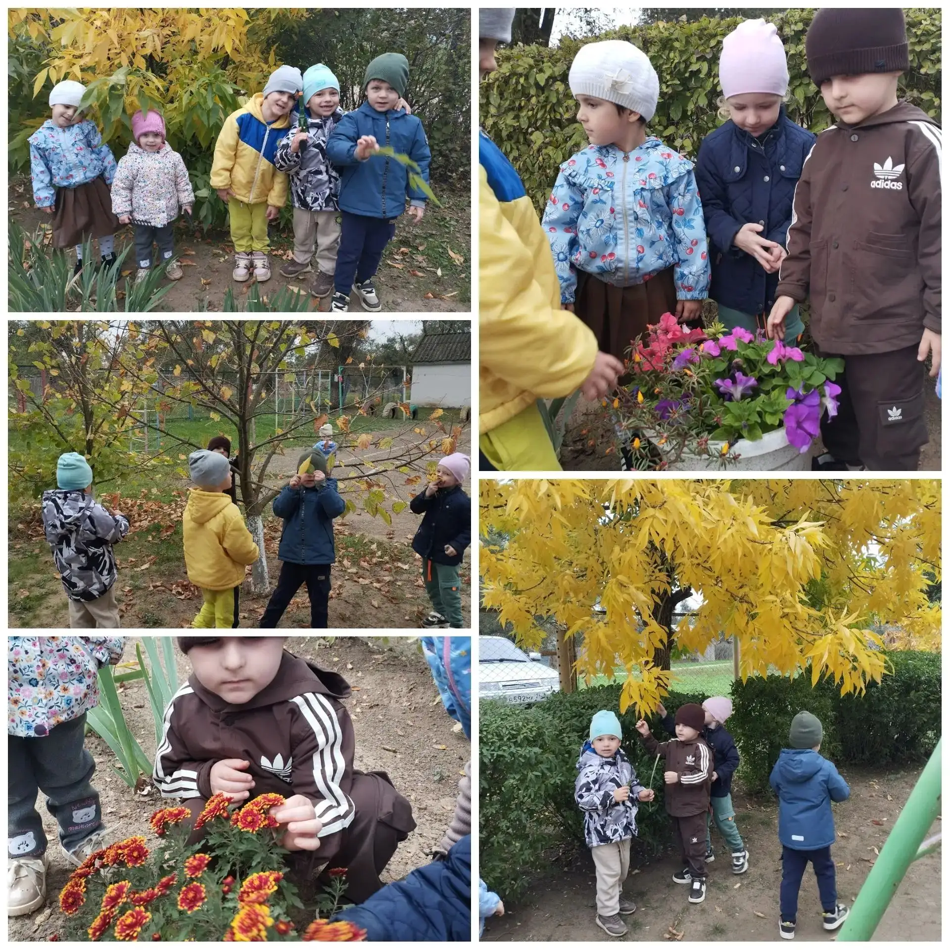 🍁🍁🍁Осень – прекрасное и красивое время года! Сверкает ещё тёплое осеннее солнышко, ш...