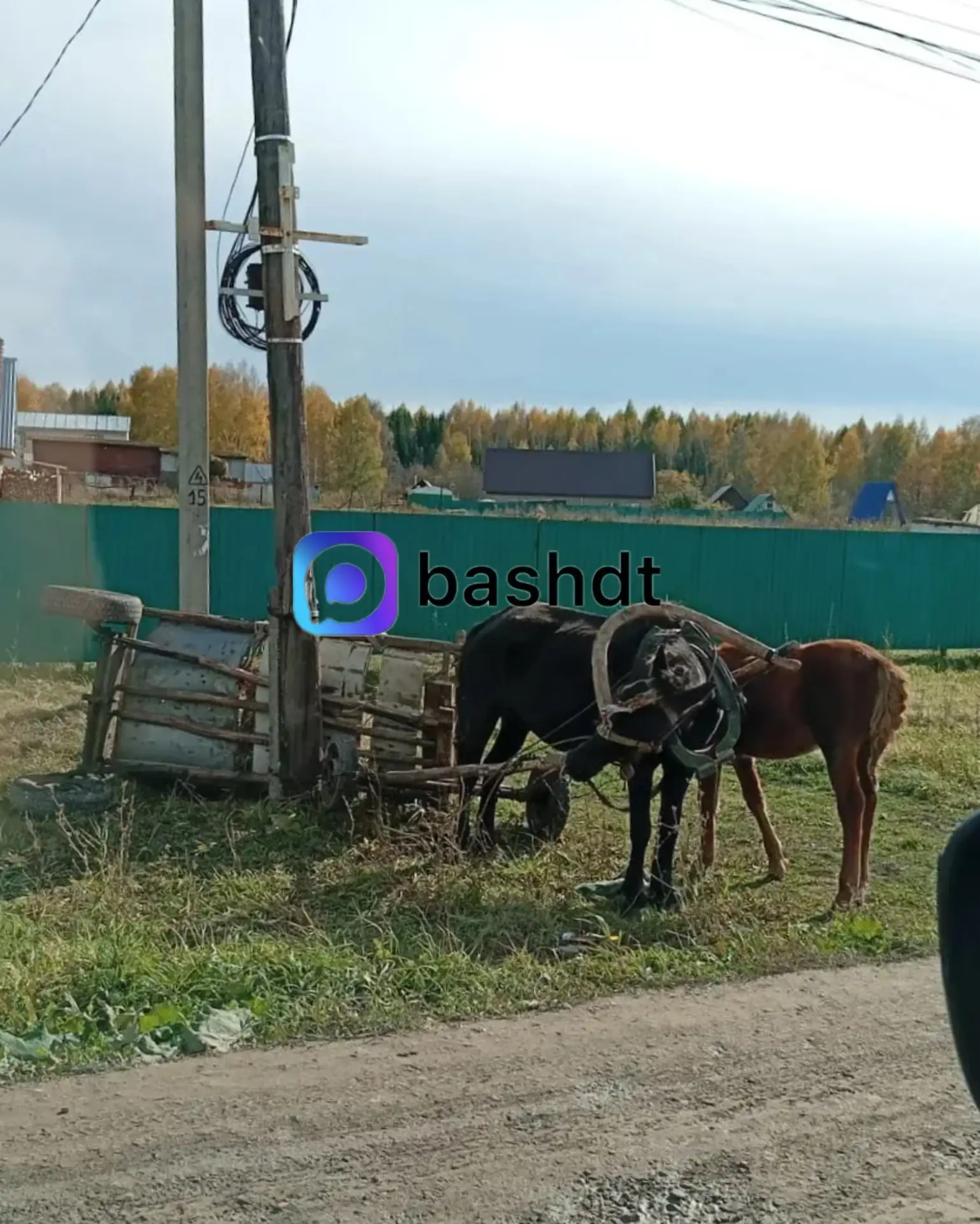 Надеждино дтп 🚔 нет