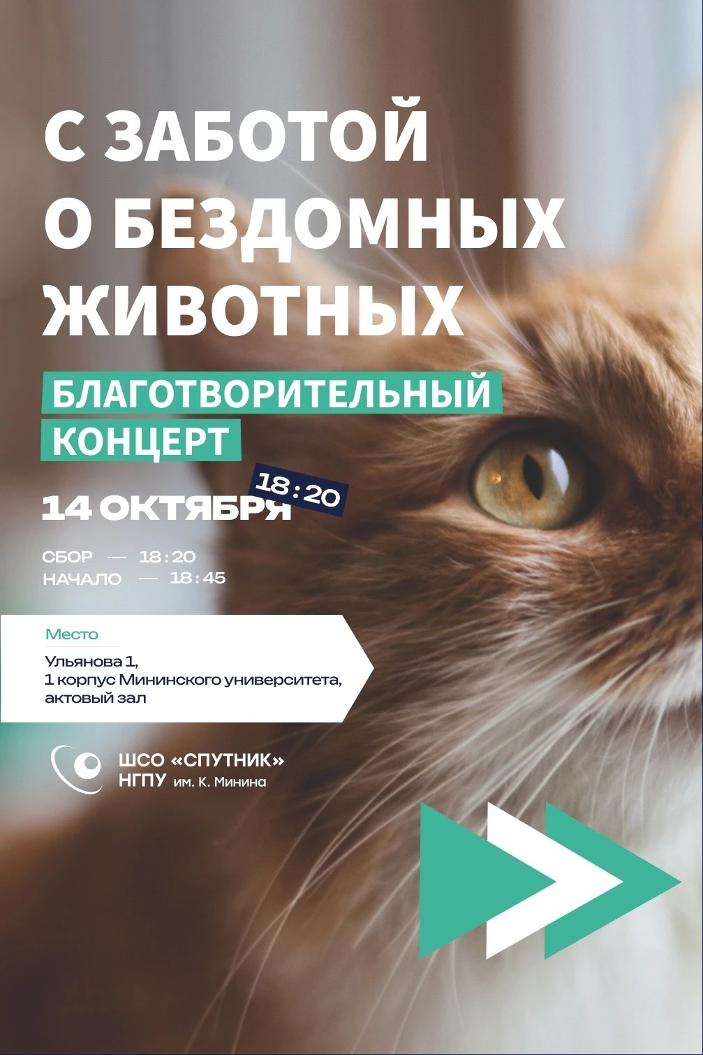 А что, если дом — это не только стены? 🐾