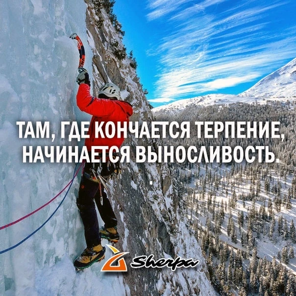 А что выбираешь ты? Сдаться или продолжить? 😏