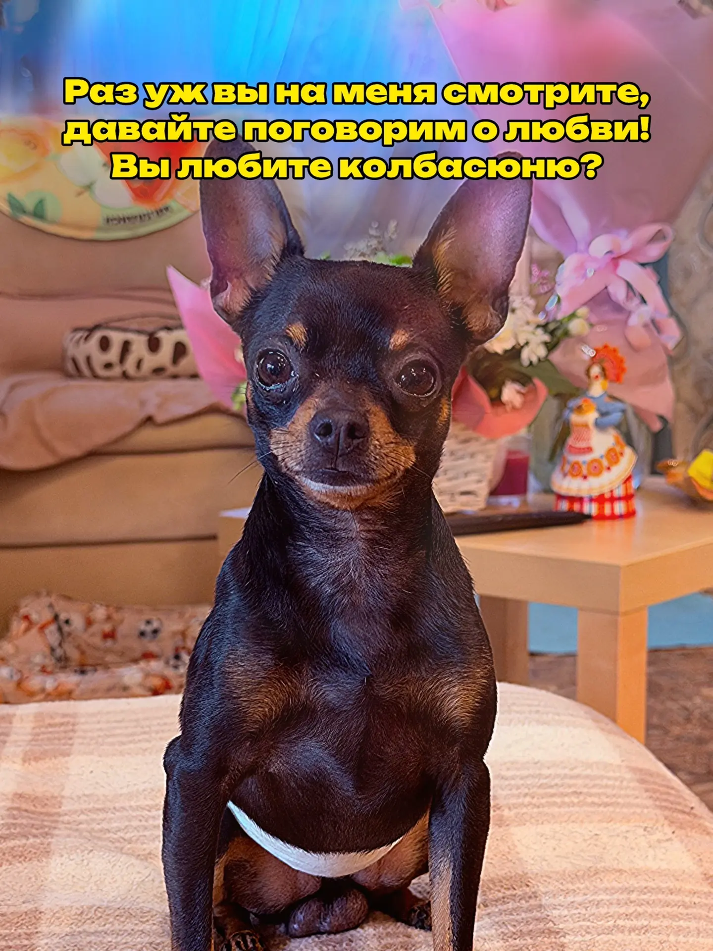 Это Пчеленок. Он всегда хочет колбасюню☺️