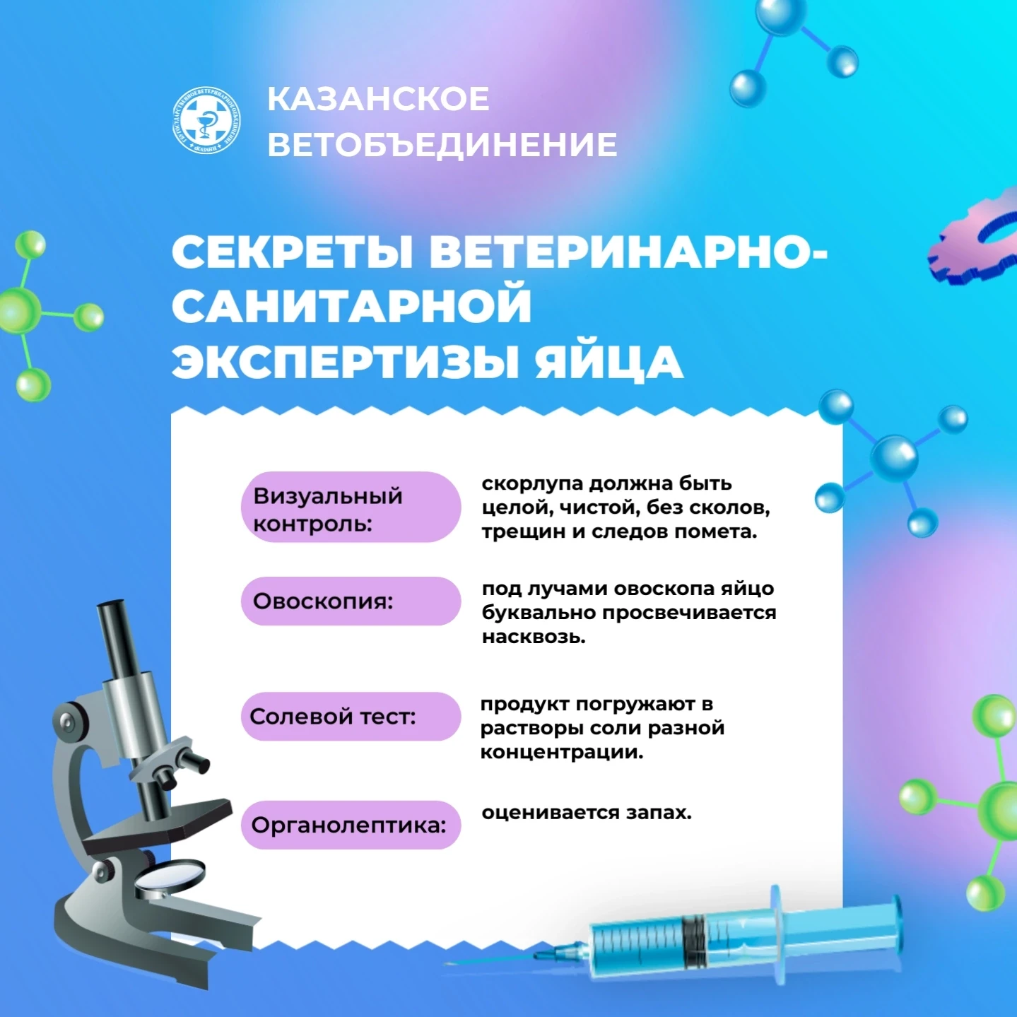 В честь Всемирного дня яиц специалисты Казанского ветеринарного объединения решили расс...