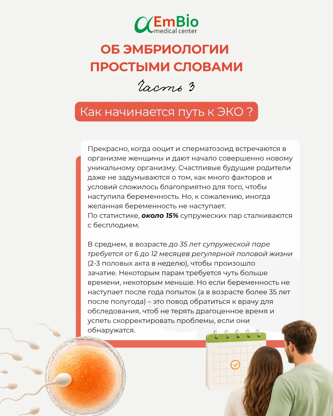 🧬 Эмбриология простыми словами. Часть 3
