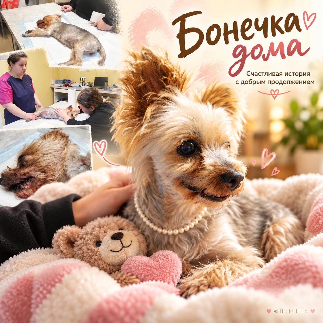 ❤️ Друзья, у нас замечательные новости! И сегодня история Бонечки получила такое продол...