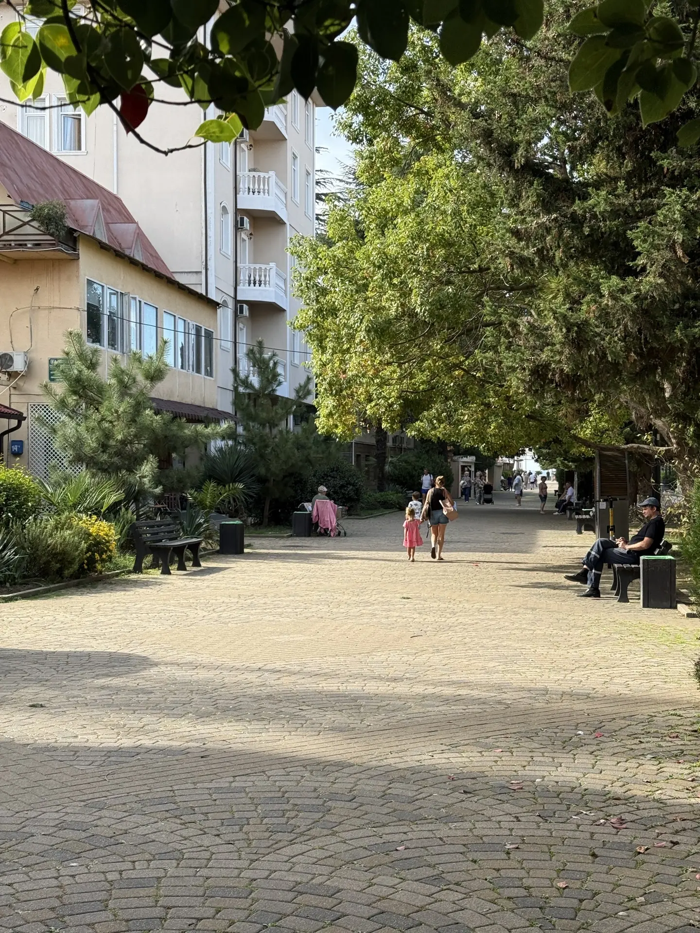 В Сочи температура воздуха в октябре поднялась до рекордных +30,9 градуса