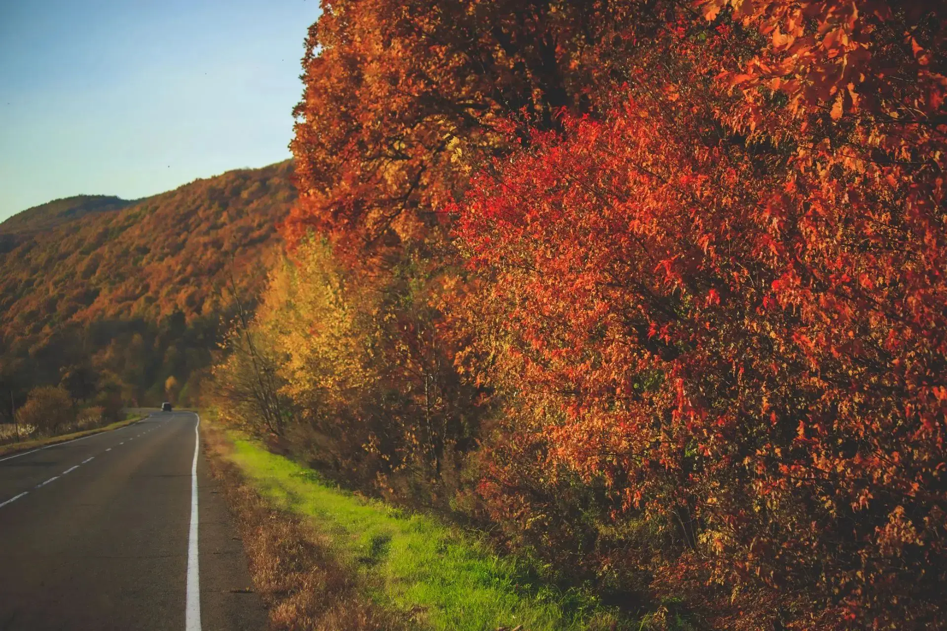 Наша приморская осень🍁