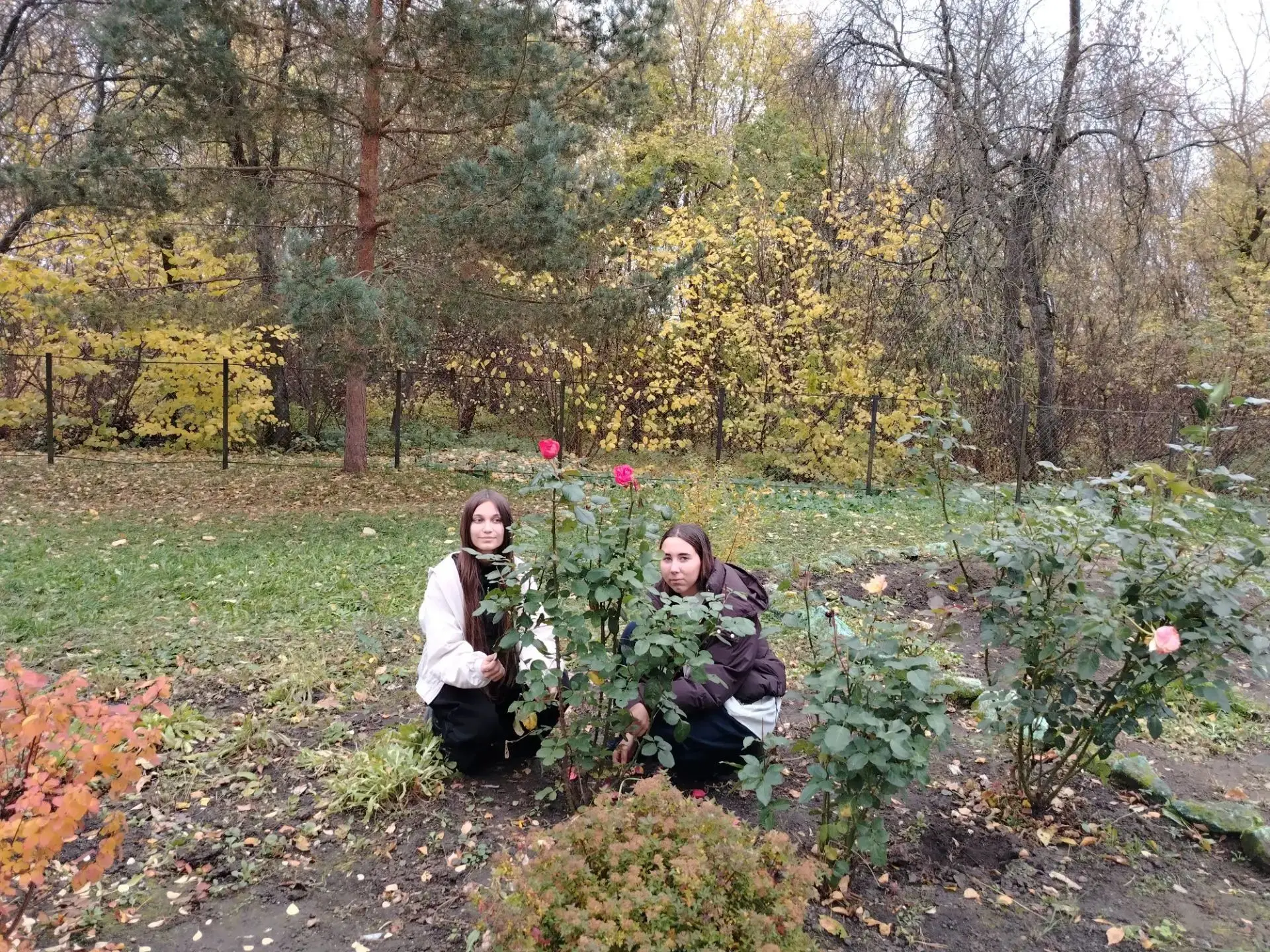 В октябре в Рязанской области проходит  экологическая акция «Октябрь – месяц озеленения...