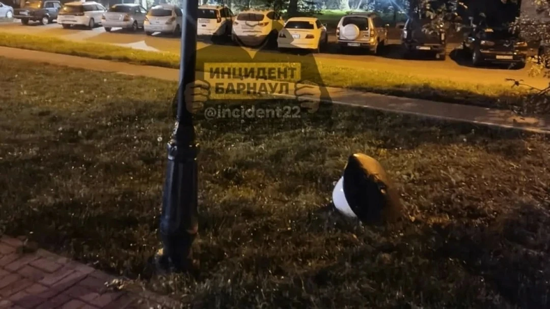 ❗️Молодые люди в Барнауле устроили погром на аллее Георгия Исакова