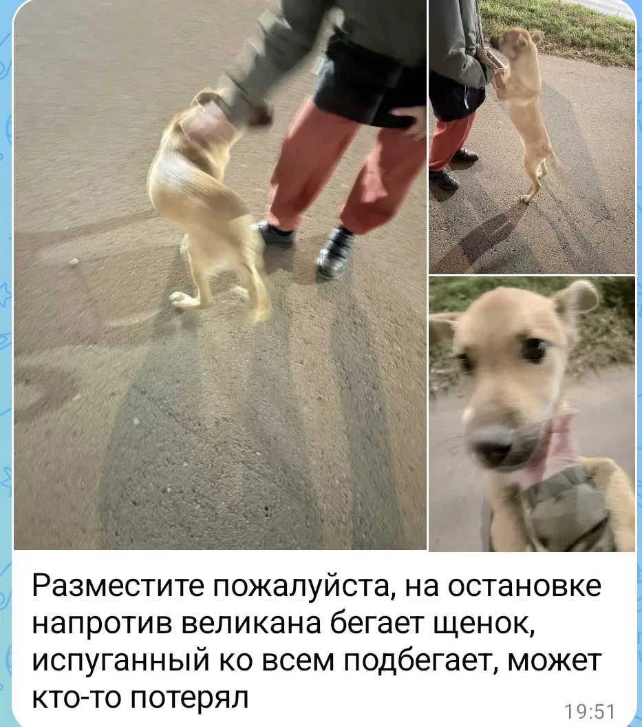 Очень хочется надеяться, что это все же чей-то😔