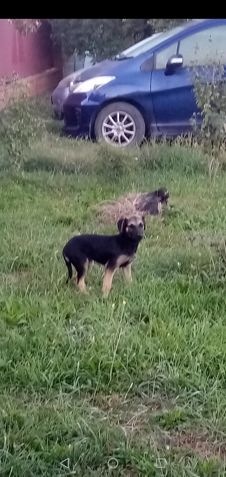 🔍 Нашёл