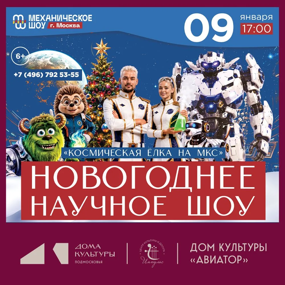 НОВОГОДНЕЕ НАУЧНОЕ ШОУ