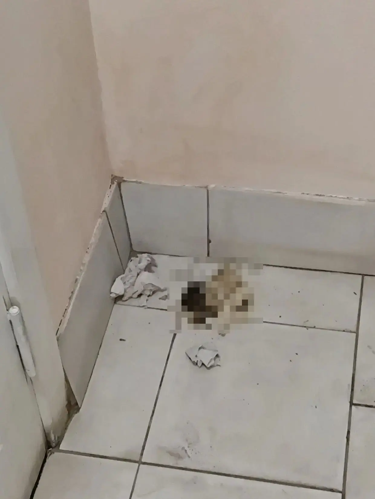 "Запах был такой отвратительный, что меня чуть не вывернуло": горожанка возмущается, чт...