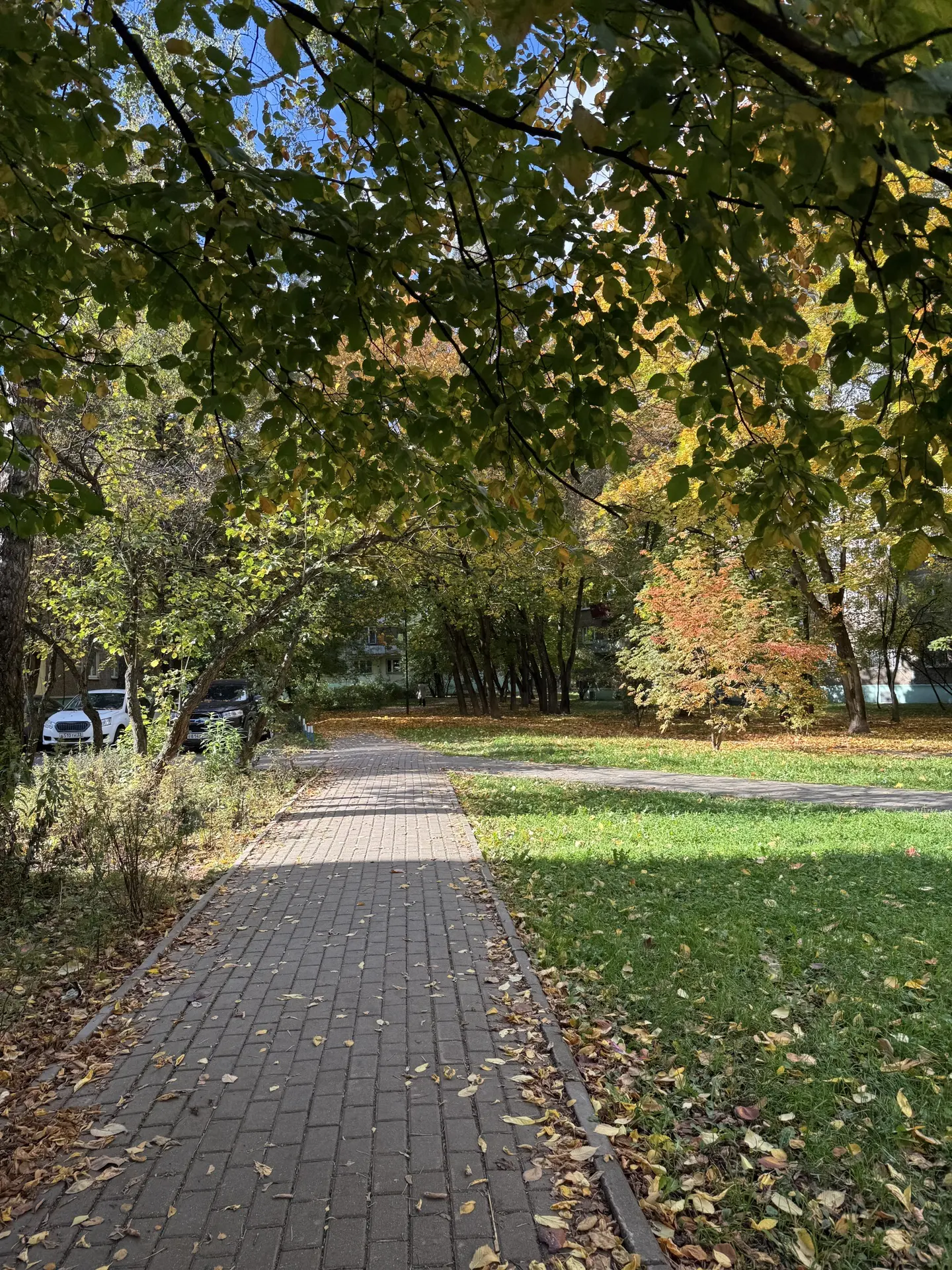📍Мкр. Южный 🏡🍂🍁