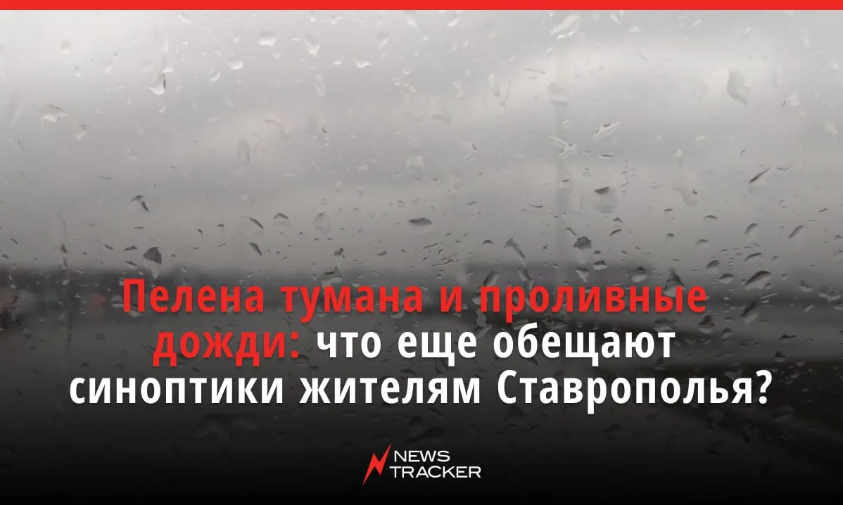 В ближайшие дни на Ставрополье ожидаются туман и дожди — рассказываем, чего ждать от по...