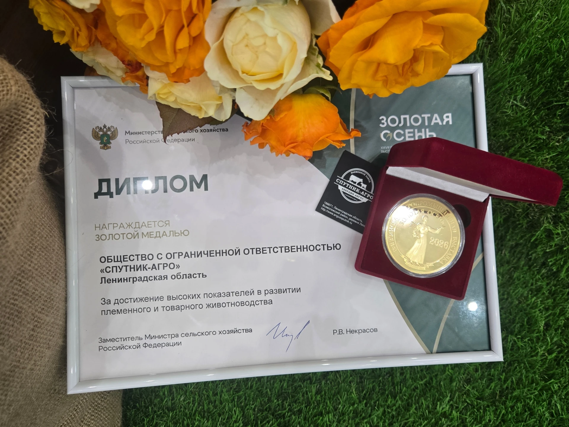 🐄 Лучшее стадо России выращено во Всеволожском районе!