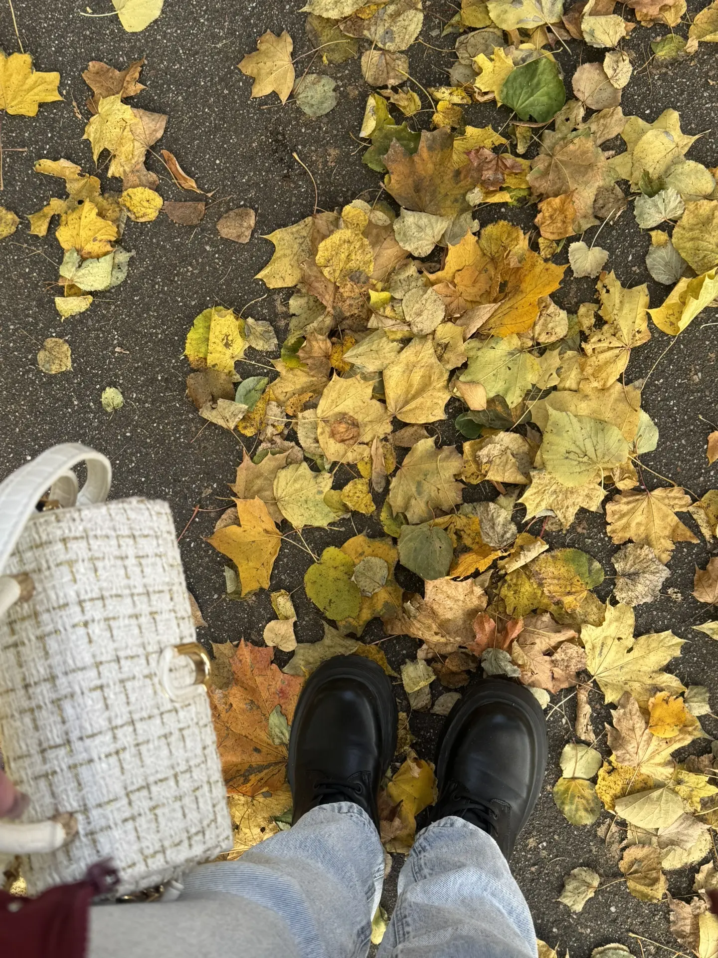 🍂 День, когда осень поставила галочку в моём списке «обязательно»