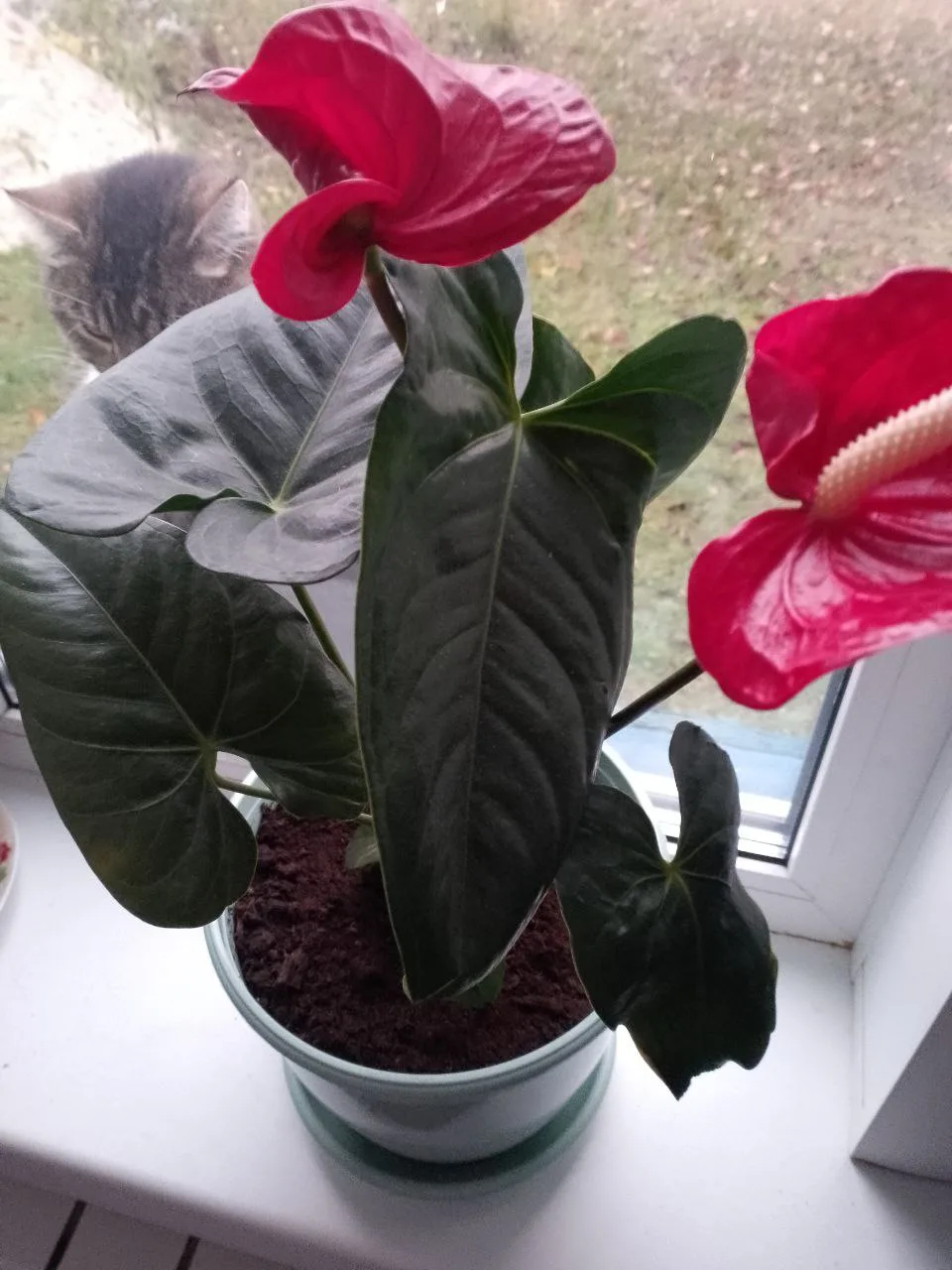 Сегодня я работаю🙂
