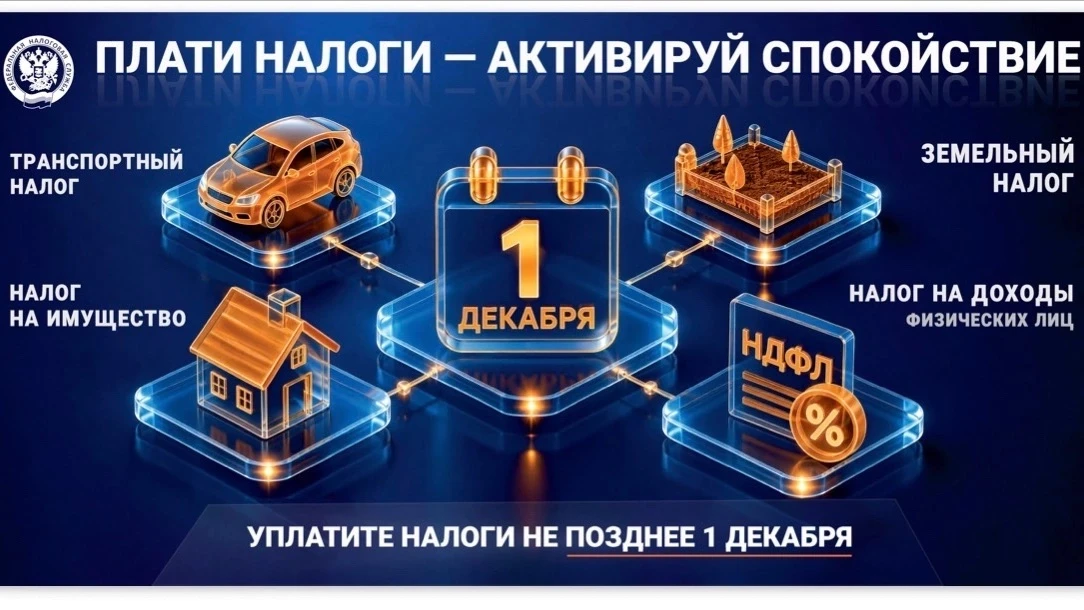 Напоминаем о необходимости уплаты налогов не позднее 1 декабря