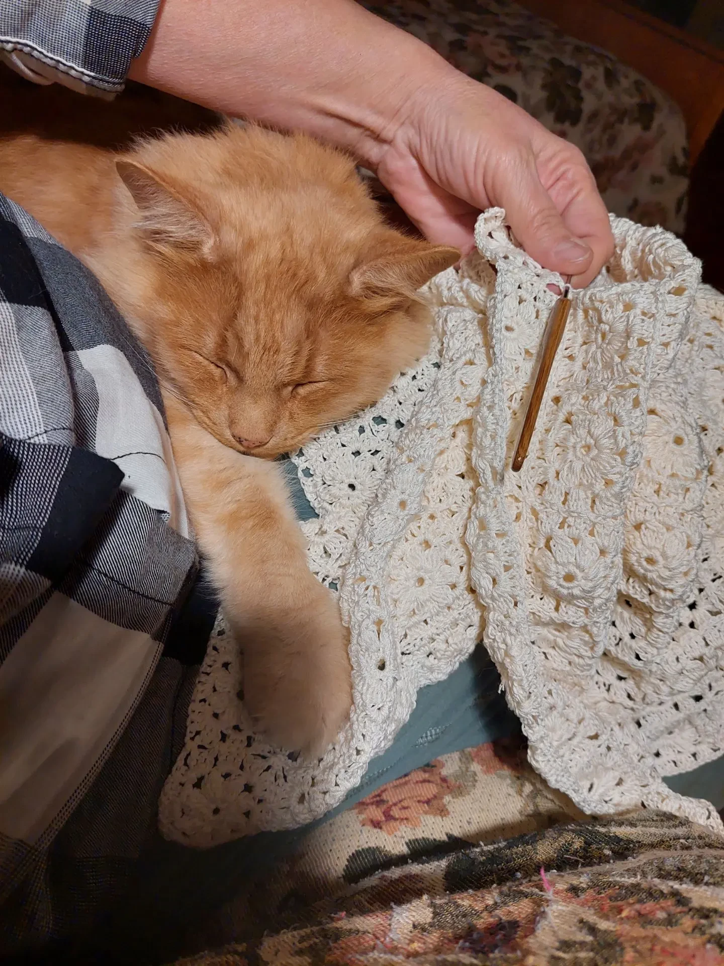 Хваст от Натальи! 🧶