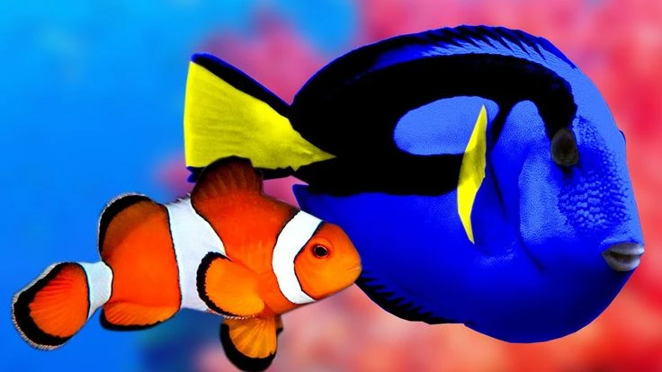 🐠 Добро пожаловать в самое уютное сообщество аквариумистов Владимира! 🐠