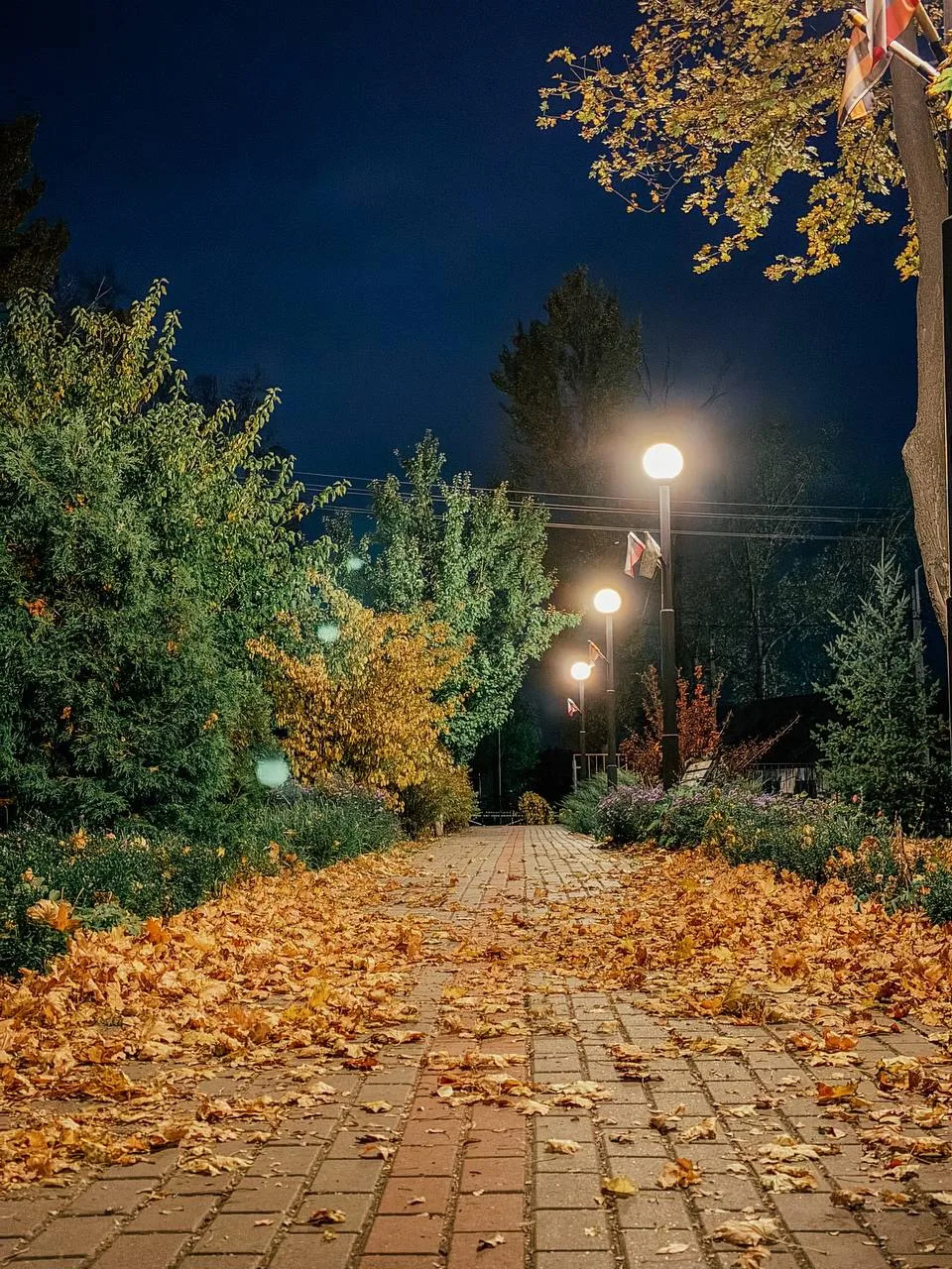 Наш осенний парк🍂