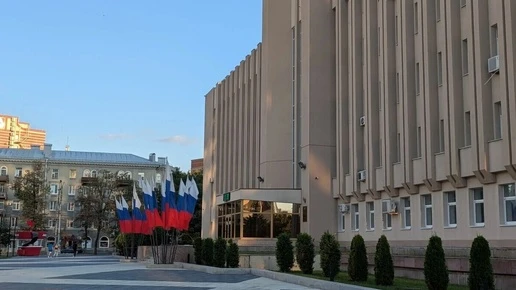 Воронежские муниципальные депутаты получат доступ к работе над областными законами
