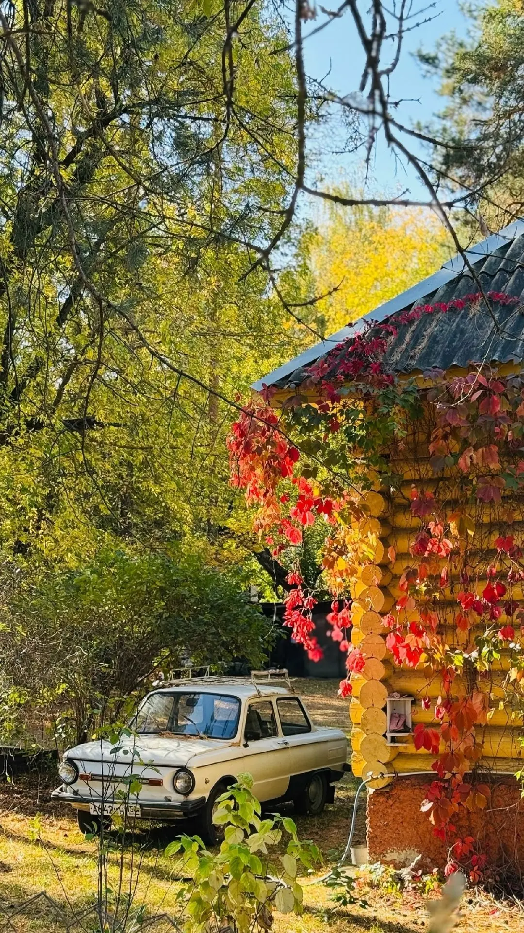 С добрым утром, Шатура Ночь на 12 октября 🍂
