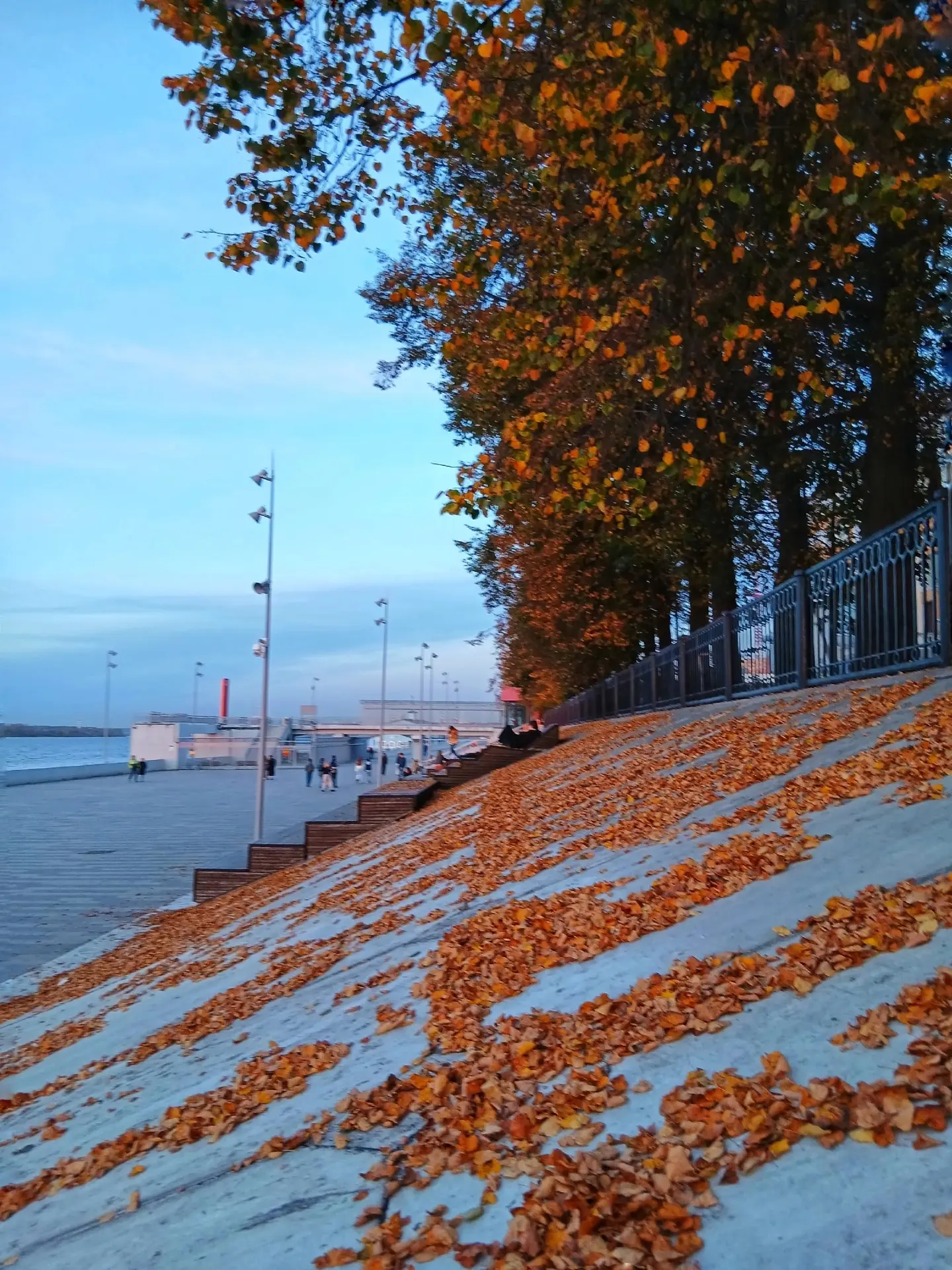Золото осени на городской набережной 🍂
