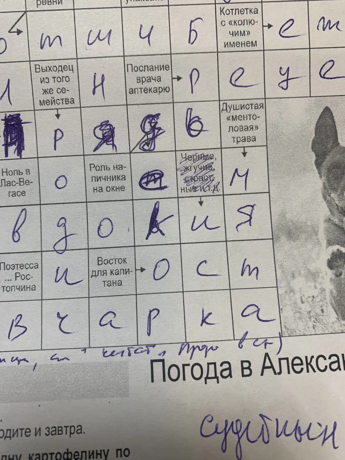 «Очи» или «Иск»?